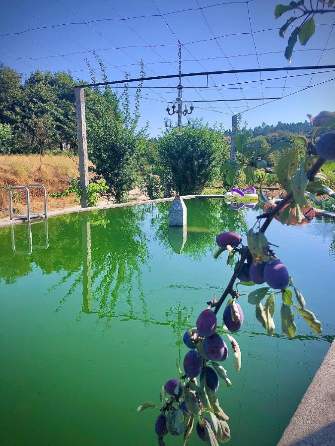 Casa Da Quinta Da Prelada Simao Partie Basse Villa Celorico De Basto Luaran gambar