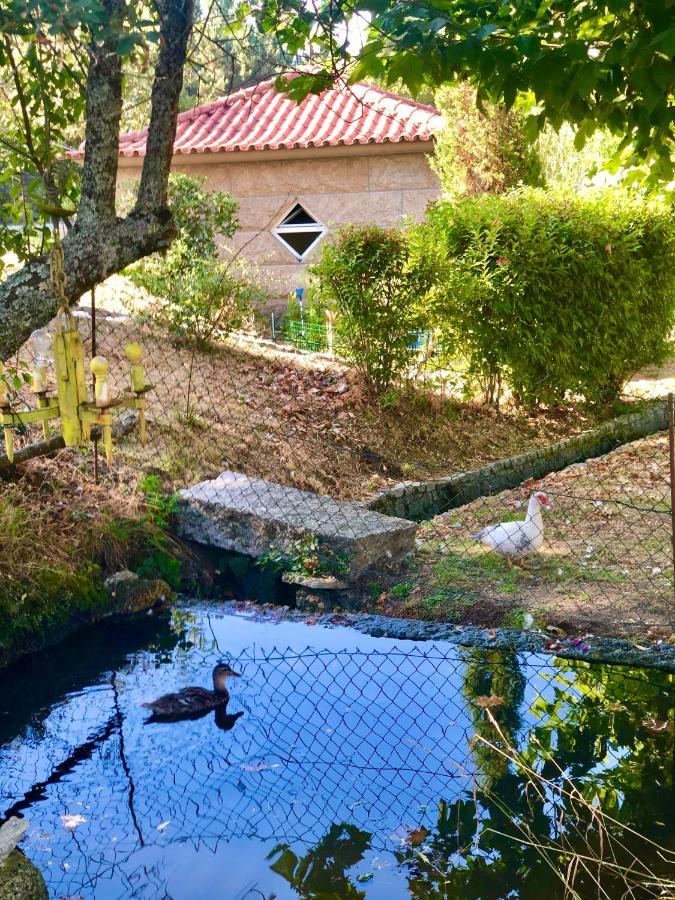 Casa Da Quinta Da Prelada Simao Partie Basse Villa Celorico De Basto Luaran gambar