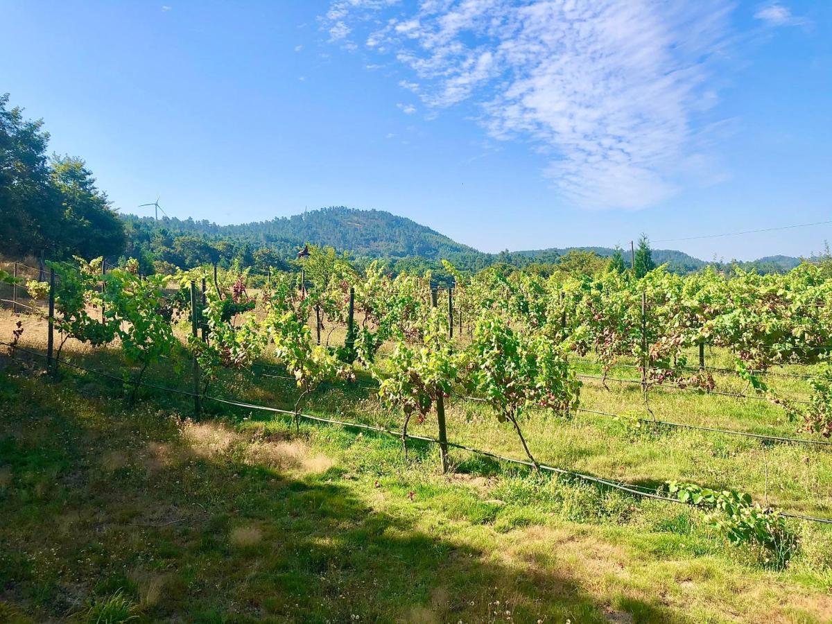Casa Da Quinta Da Prelada Simao Partie Basse Villa Celorico De Basto Luaran gambar