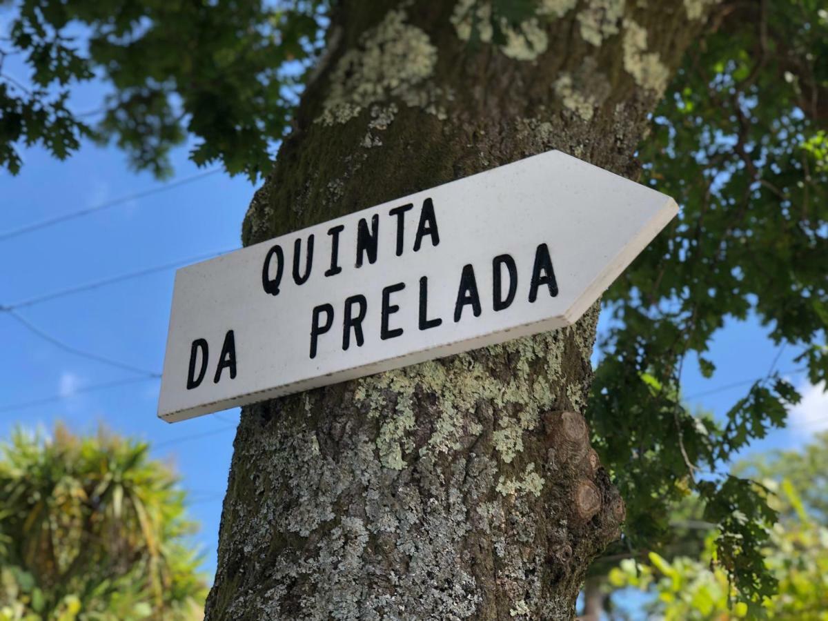 Casa Da Quinta Da Prelada Simao Partie Basse Villa Celorico De Basto Luaran gambar