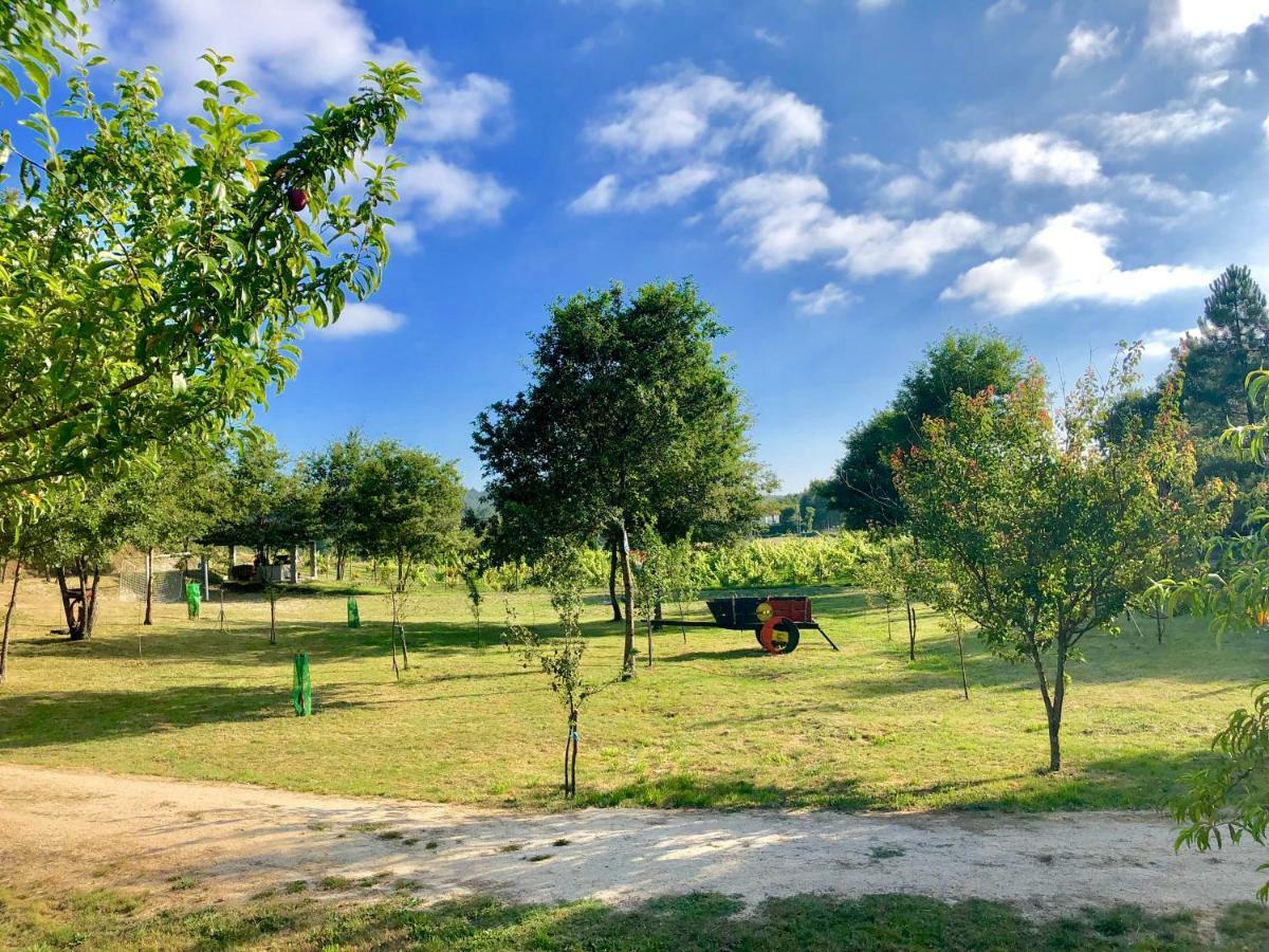 Casa Da Quinta Da Prelada Simao Partie Basse Villa Celorico De Basto Luaran gambar
