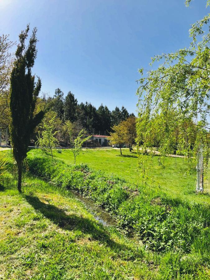 Casa Da Quinta Da Prelada Simao Partie Basse Villa Celorico De Basto Luaran gambar